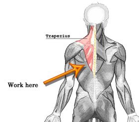 Why Are My Shoulders Always Tense and Raised?