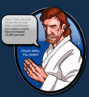 chuck norris roundhouse kick spectacle