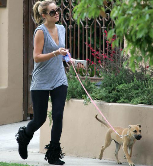 Looks like Lauren Conrad's adoro Chloe got a pretty new leash from the last 
