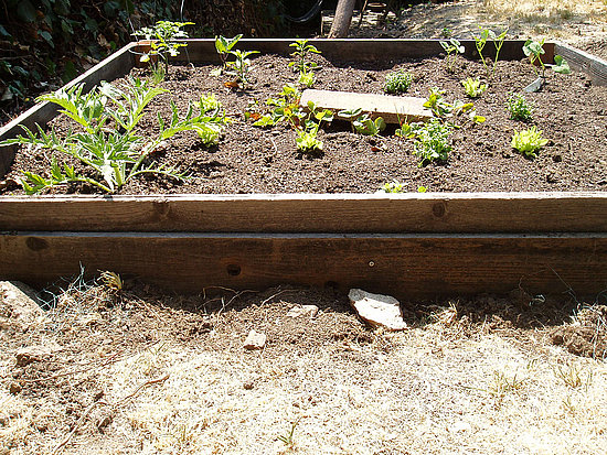 Make a Cheap and Sturdy DIY Vegetable Garden Box Out of Old Boards