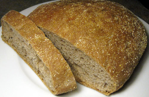Find whole wheat bread recipes