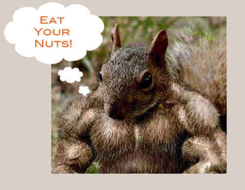 Saturated Fat Nuts 11