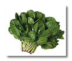 spinach top 10 healthiest food